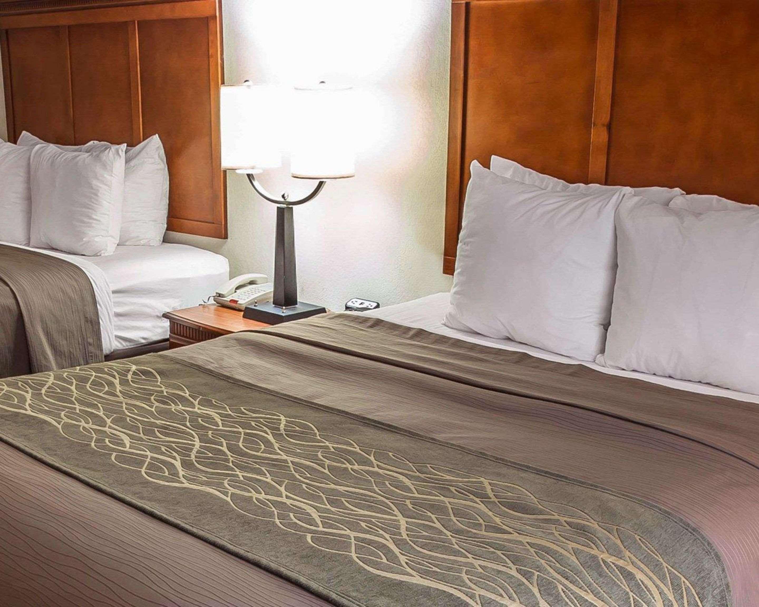 Comfort Inn & Suites Rogersville Экстерьер фото