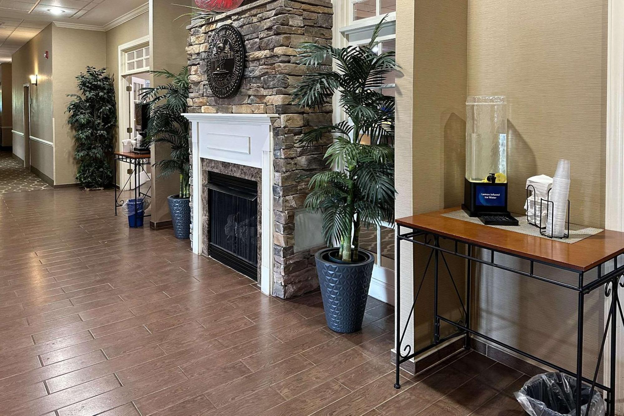 Comfort Inn & Suites Rogersville Экстерьер фото